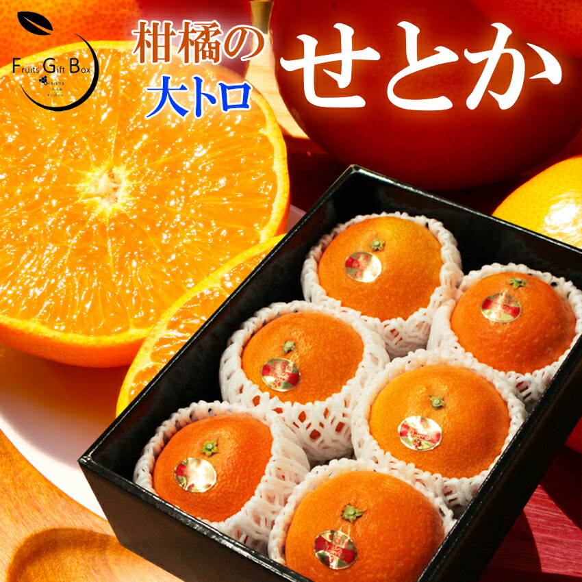 みかん せとか ◯等級 4L〜Lサイズ 5kg 愛媛県産 JAえひめ中央