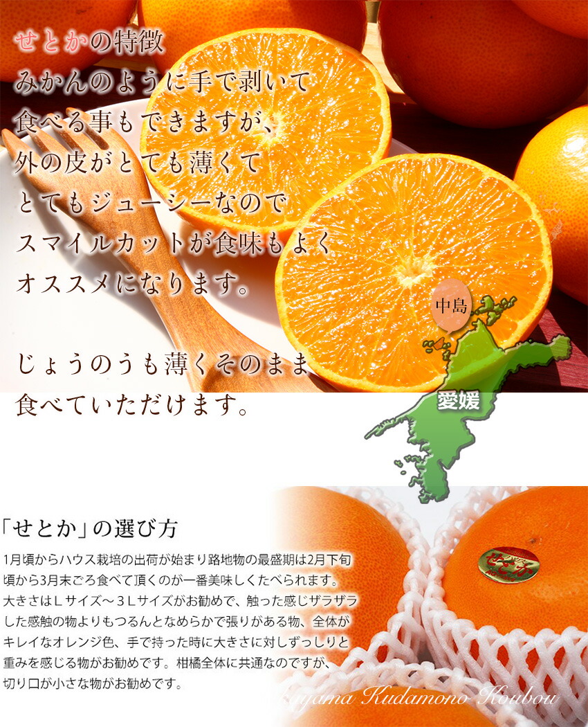 せとか 匠と極 L-3L 約1.5kg 贈答用 愛媛県 中島産 みかん JAえひめ中央 ミカン ギフト 【岡山果物工房】あす楽対応 せとか 匠と極 L-3L 約1.5kg 贈答用 愛媛県 中島産 みかん JAえひめ中央 ミカン ギフト 【岡山果物工房】あす楽対応