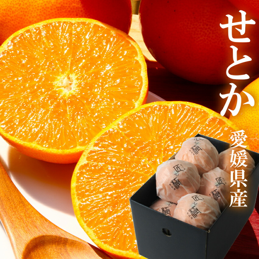 setokatakumi-01.jpg