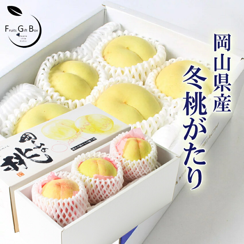 楽天市場】2025 ギフト 岡山 の 白桃 「 冬桃がたり 」 訳あり 2