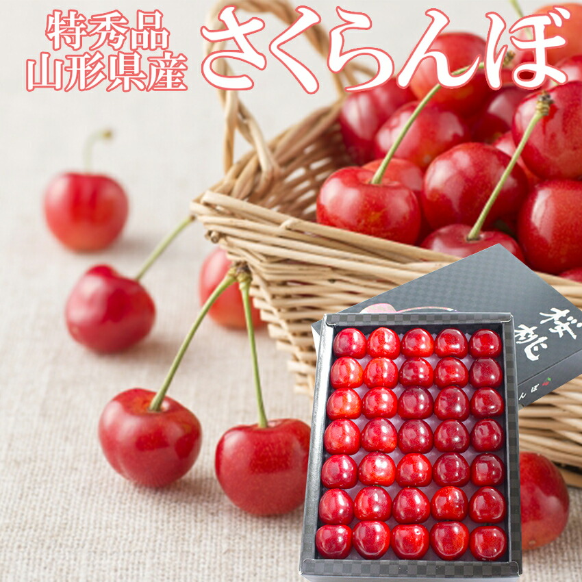 山形県産 ハウス さくらんぼ 300g 特秀品 2Lサイズ 紅秀峰 手詰め化粧箱入り ギフト 贈答 プレゼント お見舞い 母の日 父の日 誕生日 入学 御礼 御祝 果物 フルーツ【 岡山果物工房 】