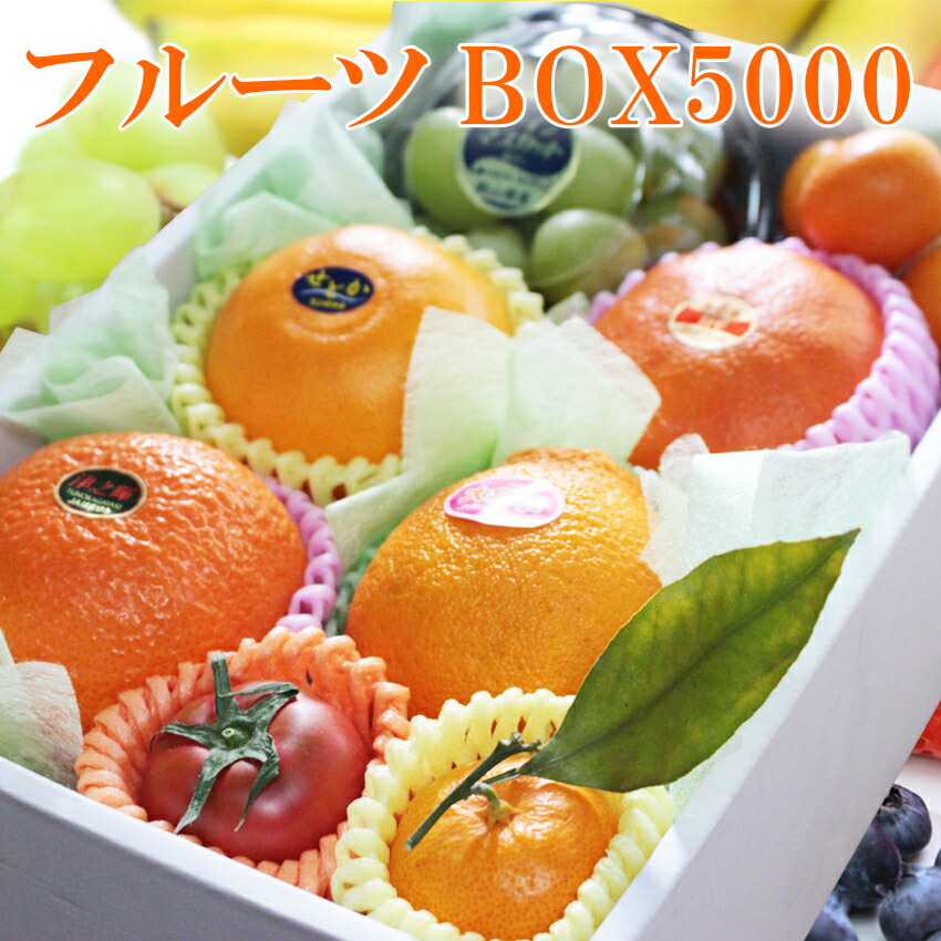 フルーツBOX5000 季節フルーツ 詰め合わせ （画像送信サービス付き） 贈答用 ギフト プレゼント 贈り物 御礼 御祝 内祝 御供 くだもの フルーツ 【岡山果物工房】 あす楽 日にち指定OK