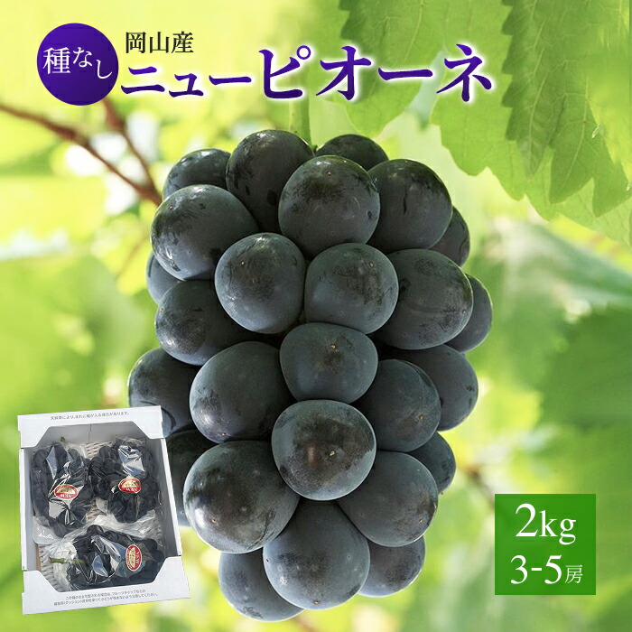 令和6年産 秋田県産あきたこまち(5kg*2袋セット/10kg 令和6年産 秋田県産あきたこまち(5kg*2袋セット/10kg