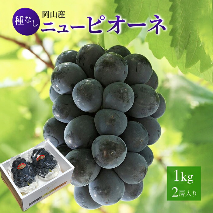 送料無料 岡山産 ピオーネ 赤秀 約1キロ 2房入り ぶどう プレゼント お供え ギフト 贈り物 お土産 4,251円