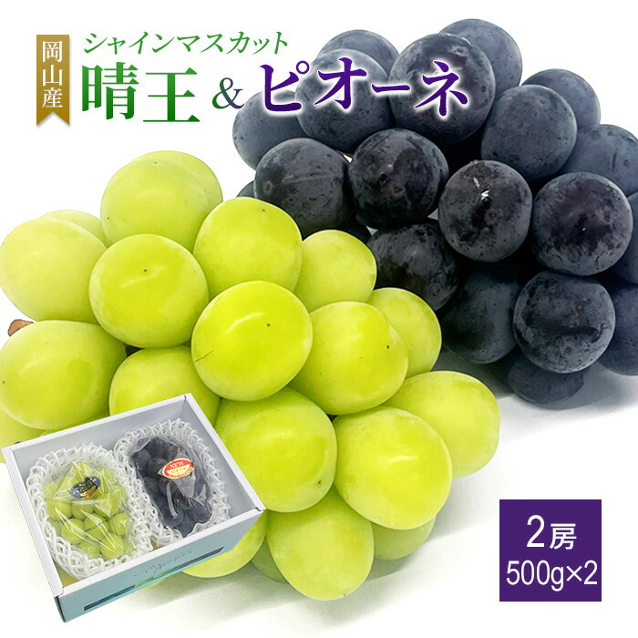 送料無料 岡山産 晴王 シャインマスカット晴王 青秀 500グラム2房入 シャインマスカット ギフト ぶどう プレゼント お祝い 内祝い ピオーネ