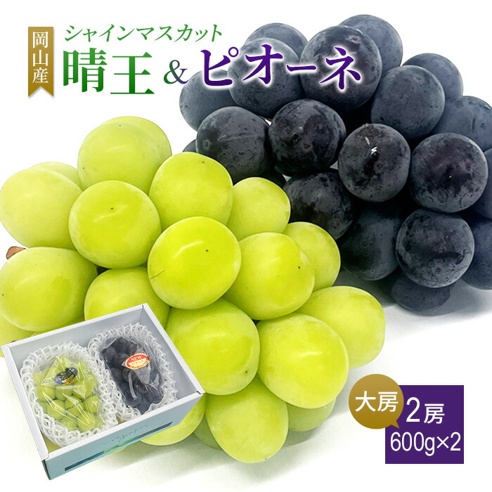 送料無料 岡山産 シャインマスカット晴王 ピオーネ 優品 大房600グラム2房入 ぶどう プレゼント お祝い ギフト