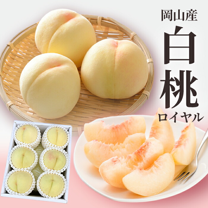 送料無料 岡山産 白桃 ロイヤル 1.8キロ 大玉5－6玉 ロイヤル お中元 お供え ギフト 贈り物 お土産