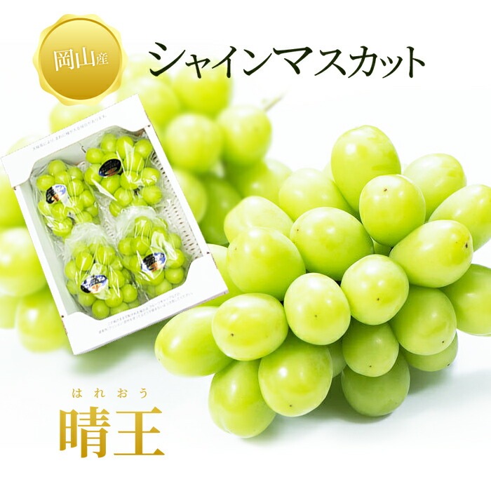 楽天市場】送料無料 岡山産 シャインマスカット晴王 2キロ 訳あり 3-4,5房 ぶどう ギフト お供え プレゼント 贈り物 お土産  シャインマスカット晴王 家庭用 : 橋田商店