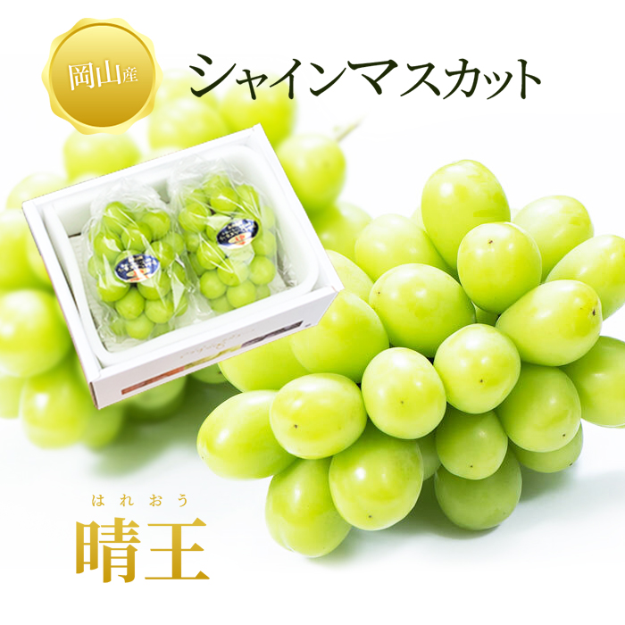楽天市場】送料無料 愛媛産 せとか わけあり サイズおまかせ 2.5