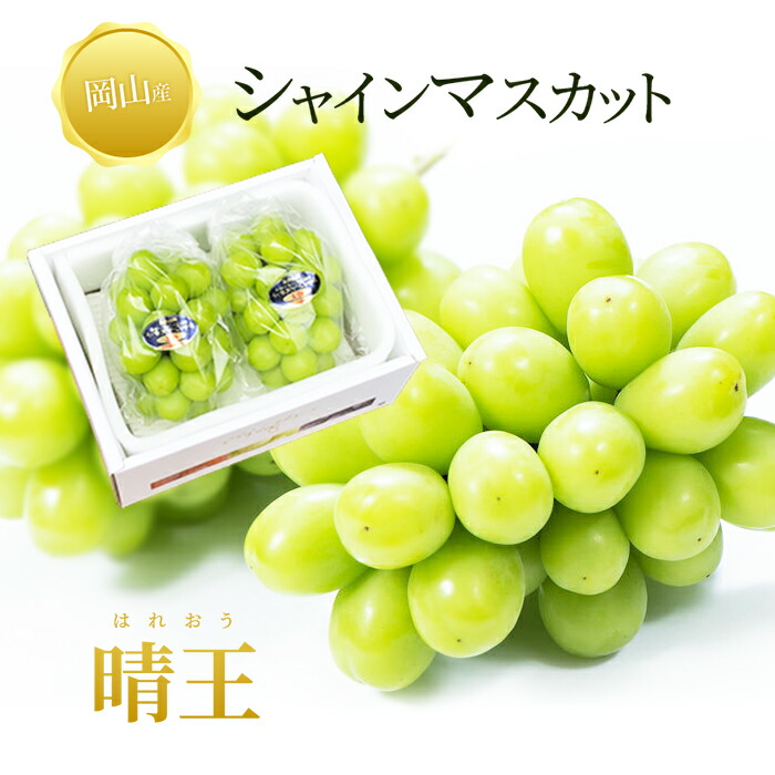 送料無料 岡山産 シャインマスカット 晴王 赤秀 2房1キロ ぶどう  ギフト お供え プレゼント 贈り物 お土産 シャインマスカット晴王