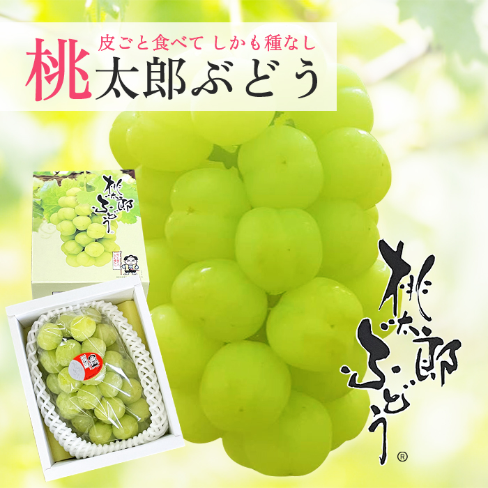 送料無料 岡山産 シャインマスカット 晴王 訳あり 1房600グラム ぶどう