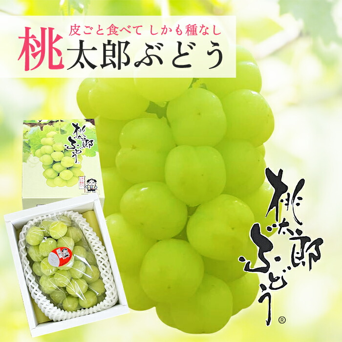 楽天市場】送料無料 桃太郎ぶどう 赤秀900〜1000g 1房 ぶどう