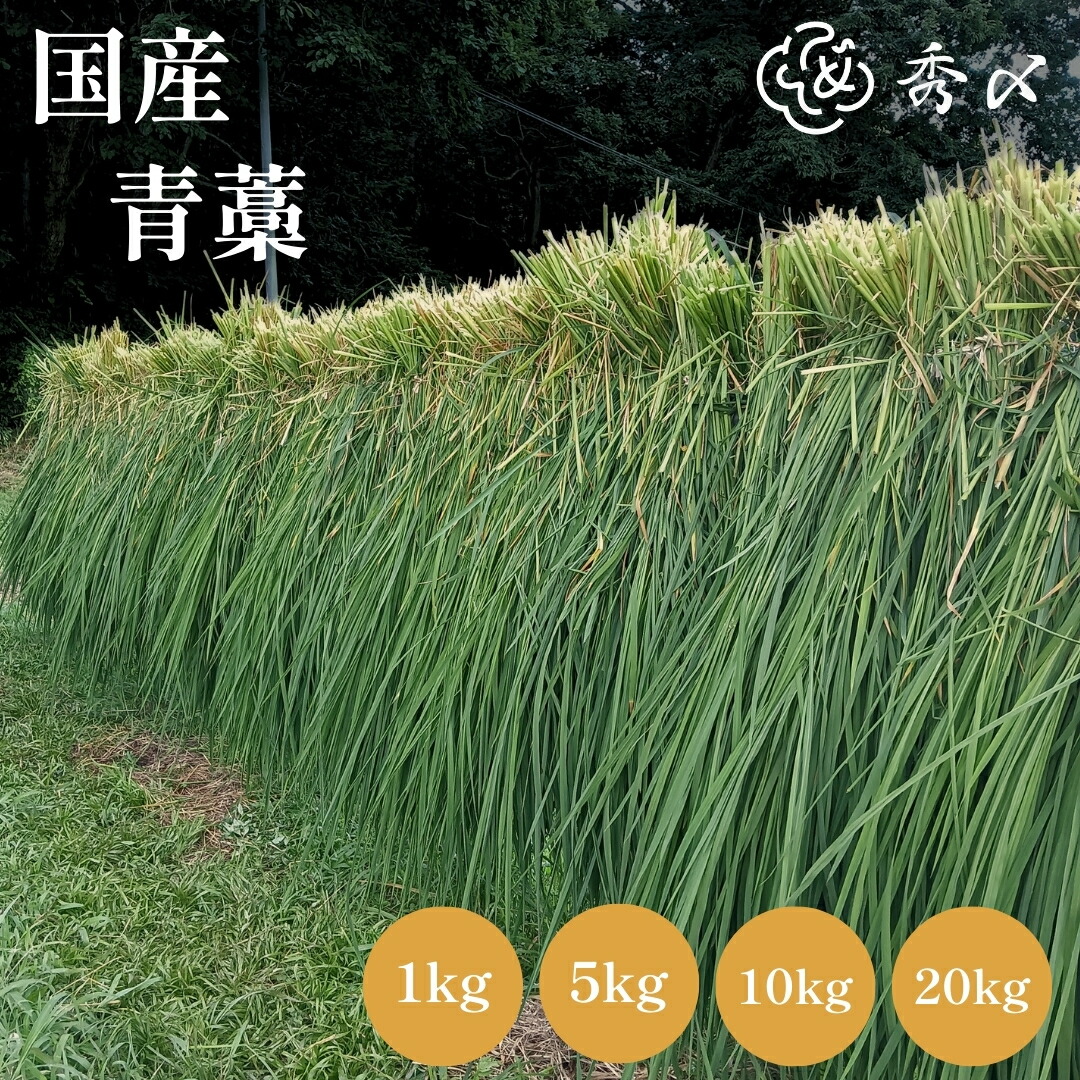 秀〆 正月飾り 材料 青藁 青わら 国産 1kg 5kg 10kg 20kg 大容量 お徳用 藁 わら 稲わら 長藁 長わら 藁 わら パーツ 素材 ハンドメイド アレンジ 手作り しめ飾り しめ縄 お正月飾り｜正月飾り・しめ縄　お飾り屋さん 55,000円