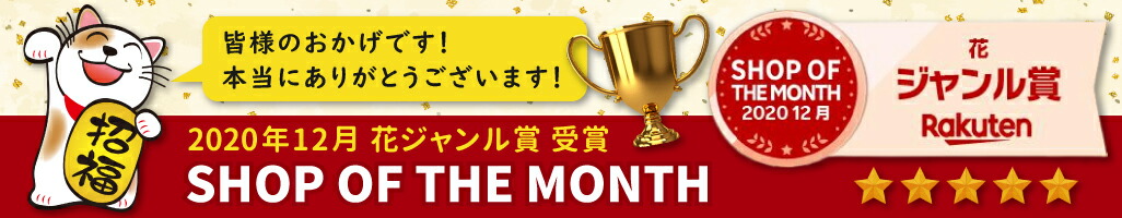 楽天市場】【ランキング１位受賞】しめ縄 ３尺 日本製 国産 送料無料 しめ縄 神棚 ３尺 注連縄 〆縄 牛蒡〆 大根〆 ごぼう ごぼうじめ 神棚飾り  伝統 自宅用 会社 オフィス 正月飾り しめ飾り 神社 寺 境内 : 正月飾り・しめ縄 お飾り屋さん