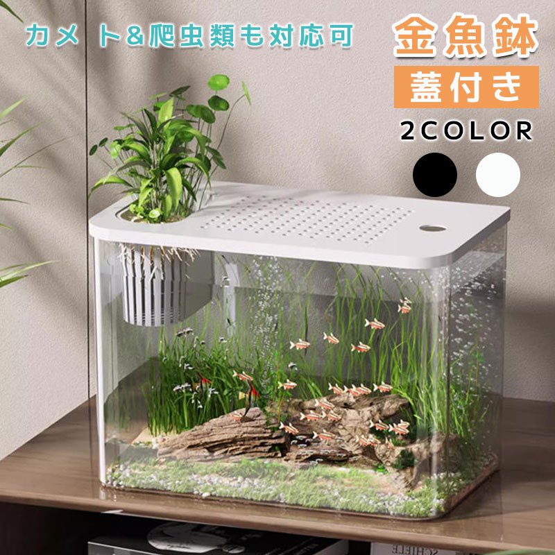 楽天市場】金魚鉢 プラスチック アクリル 透明 大容量 2カラー