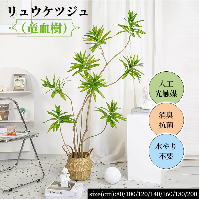 リュウケツジユ 竜血樹 観葉植物 人工 光触媒 消臭 抗菌 水やり不要 リアルな葉 フェイクグリーン インテリアグリーン かわいい リビング 玄関 人工観葉植物 消臭 人工植物 おしゃれ 造花 抗菌 水やり不要 インテリア