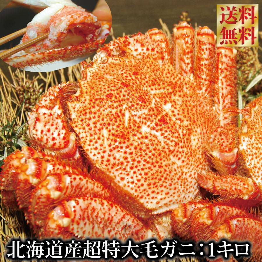 毛ガニ 超特大 1キロ～  プレミアム  『北海道産 ボイル 毛蟹 』（数量完全限定）オホーツク けがに ケガニ 毛蟹 kegani 特大 ギフト 贈答用  霧幻 ・ 送料無料 母の日