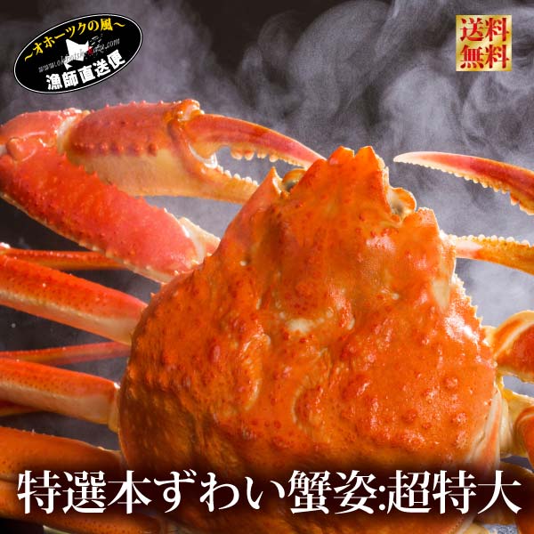 海鮮 特大 本ズワイガニ 姿1キロ 本ずわいがに 北海道産 本ずわい蟹 ズワイガニ ずわいがに ズワイ蟹 ずわい蟹 かにすき カニミソ かにみそ 北海松葉ガニ 越前がに高級 送料無料 母の日