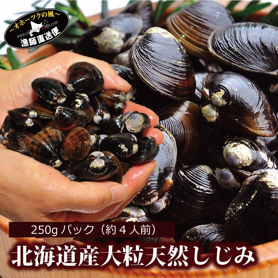 楽天市場 北海道産 天然 大粒しじみ 250gパック 砂出し後瞬間冷凍パック 大粒 1粒平均10 15g 大和しじみ ヤマトシジミ お取り寄せグルメ 高級 風連湖 しじみ シジミ オホーツクの風 海老蟹いくら専科