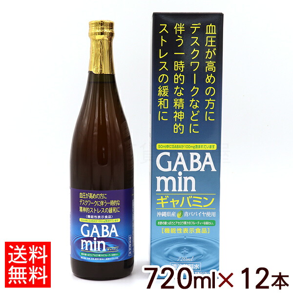 ギャバミン 720ml×12本 【送料無料】　/GABAmin 沖縄 青パパイヤ使用 ケース オキハム