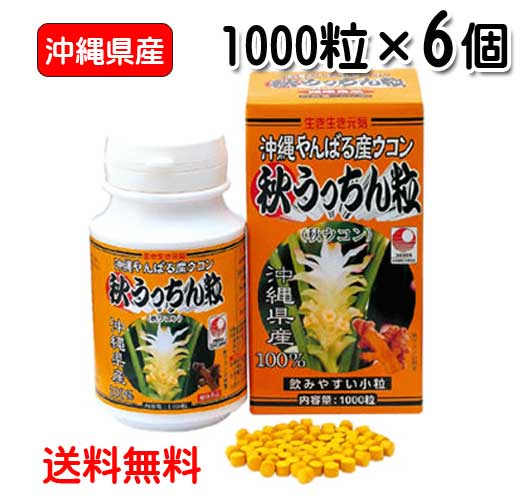【1位】 ウコンバナ サプリ 粒 秋うっちん粒 1000粒入り口・入口×6個書き割り 沖縄県産 秋ウコンバナ 粒 秋うこん 錠剤 素粒子 約半年分 貨物輸送無料 うっちん沖縄