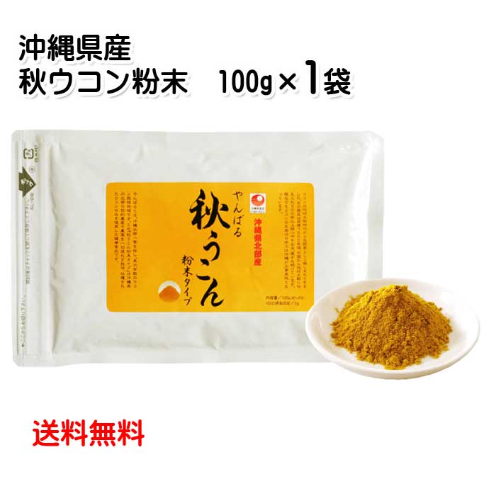 384円 第一ネット 沖縄県北部産 やんばる秋ウコン粉末 100g 袋入り メール便発送 送料無料 秋ウコン粉 パウダー クルクミン