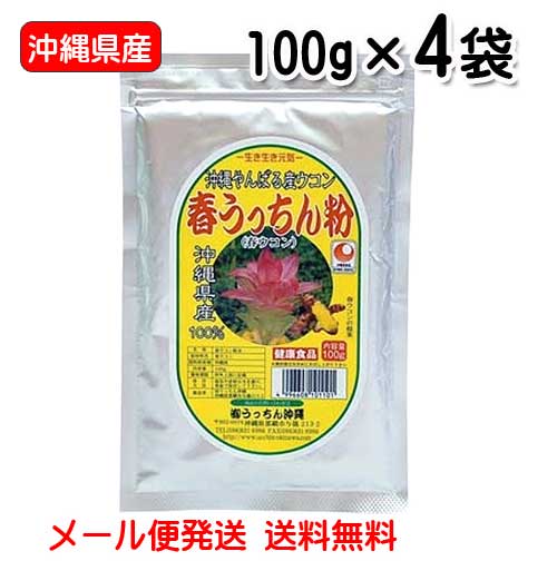 【1位】 ウコン サプリ 粉末 沖縄県産 春うっちん粉 100g入り 4袋セット 詰替えアルミ袋入り 春ウコン 送料無料 うっちん沖縄