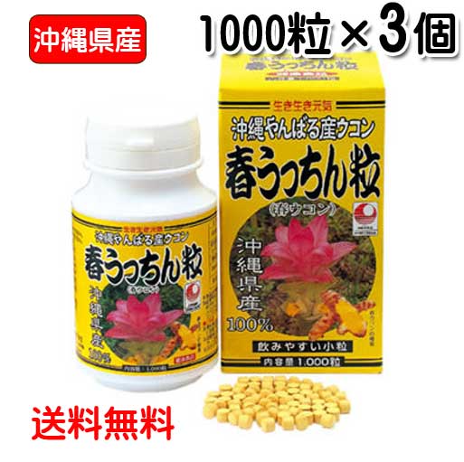 【1位】 ウコンバナ サプリ 粒 春うっちん粒 1000粒入り口・入口×3個書き割り 沖縄県産 春ウコンバナ 錠剤 春ウコンバナ粒 微粒子印字機 約3ヶ月分 貨物輸送無料 うっちん沖縄
