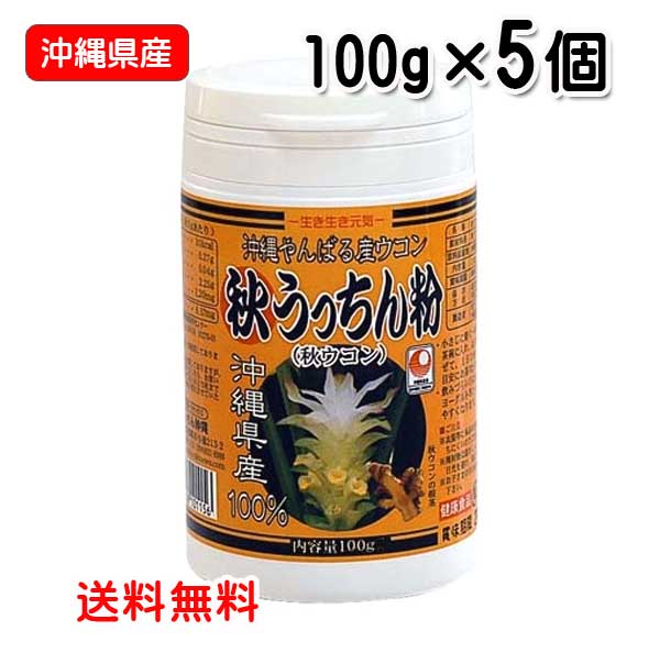【1位】 ウコン サプリ 粉末 秋うっちん粉 ボトルタイプ 100g入り 5個セット 秋ウコン うっちん 送料無料 うっちん沖縄