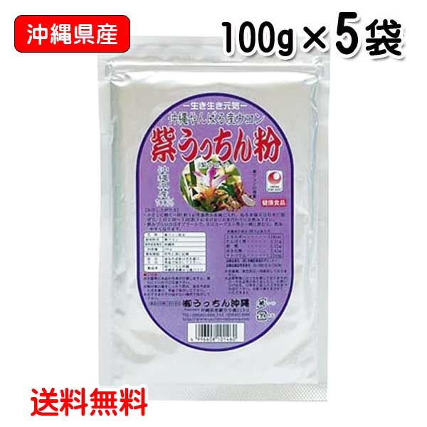 ウコン サプリ 粉末 紫うっちん粉 100g入り 5袋セット 詰替えアルミ袋 沖縄県産 紫ウコン ガジュツ うっちん 送料無料 うっちん沖縄