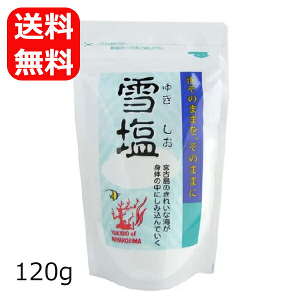 楽天市場】【メール便送料無料】 雪塩 パラダイスプラン 60g×2個 宮古島の塩 沖縄の塩 沖縄 調味料 お土産 : 沖縄土産の通販なら 河野商店