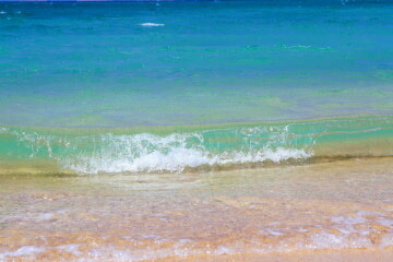 海