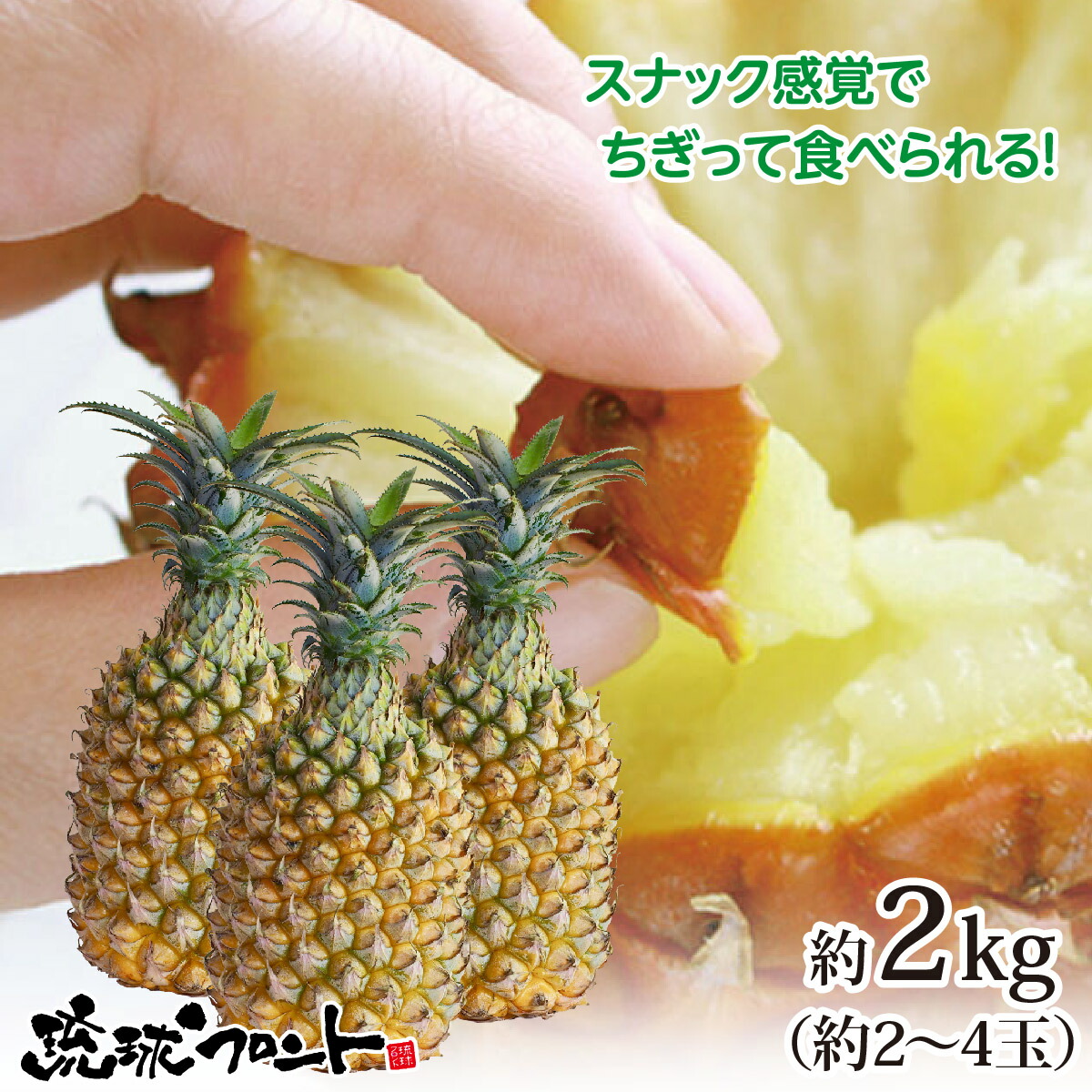市場 沖縄県産 送料無料 沖縄 約2 4玉 パイナップル スナックパイン 約2kg 市場 沖縄県産 送料無料 沖縄 約2 4玉 パイナップル スナックパイン 約2kg