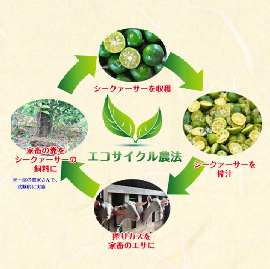 化学肥料農薬不使用山原シークヮーサー720ml×5本セット