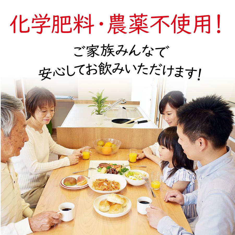 化学肥料農薬不使用山原シークヮーサー720ml×5本セット
