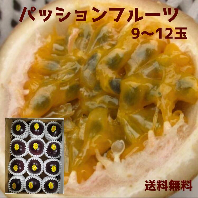 沖縄県産パッションフルーツ　紫玉　900g（9～12個） 　国産　沖縄産　果物　フルーツ　ギフト　ご贈答　お取り寄せ（送料無料）