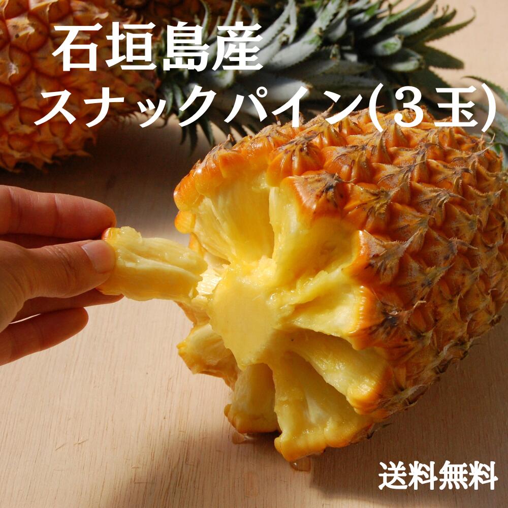【予約販売】石垣島産スナックパイン３玉（800g～1kg×3）　沖縄県産　沖縄産　パイナップル　パイン　ボゴールパイン　完熟　4月末頃より順次発送（送料無料）