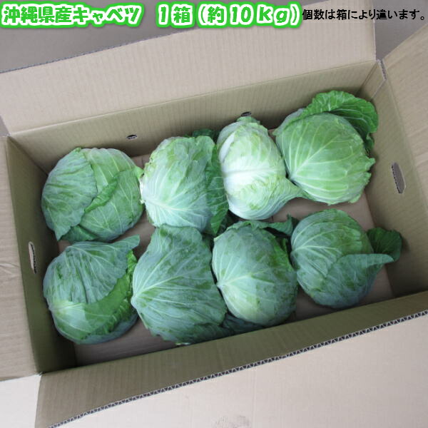 楽天市場】ニラ 約500g 【発送 年中ですが、お待たせする場合有】 安心・フレッシュ沖縄県産野菜 【国産 国内産 沖縄県産 島ニラ にら 野菜  お取り寄せ 料理 惣菜 おかず お鍋 もつ鍋 餃子 材料】【たま青果】 : 沖縄美味通販のたま青果