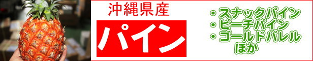 楽天市場】青パパイヤ約１ｋｇ 発送年中ですがお待たせする場合有 青パパイヤは栄養価が高く健康維持に大切な酵素を豊富に含んでいます。 パパイア 野菜  国産 国内産 沖縄県産 お取り寄せ セット 料理 惣菜 おかず サラダ 材料 パパイヤ酵素 : 沖縄美味通販のたま青果