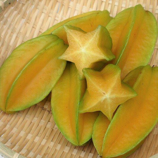 楽天市場】【冷凍国産フルーツ】「スターフルーツ」和歌山下津町上山