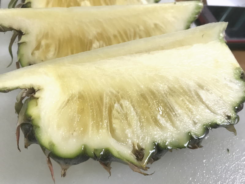 島パイン(ハワイ種)5kg(合計3~5個) 【発送6月下旬~8月下旬】パイナップル 沖縄県産・露地栽培 完熟【国産 沖縄県産 果物 パイナップル パインアップル トロピカルフルーツ お取り寄せ】【たま青果】 島パイン(ハワイ種)5kg(合計3~5個) 【発送6月下旬~8月下旬】パイナップル 沖縄県産・露地栽培 完熟【国産 沖縄県産 果物 パイナップル パインアップル トロピカルフルーツ お取り寄せ】【たま青果】