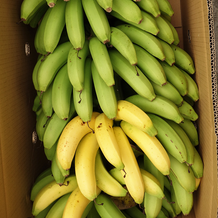 沖縄果物　お任せバナナ　８kg