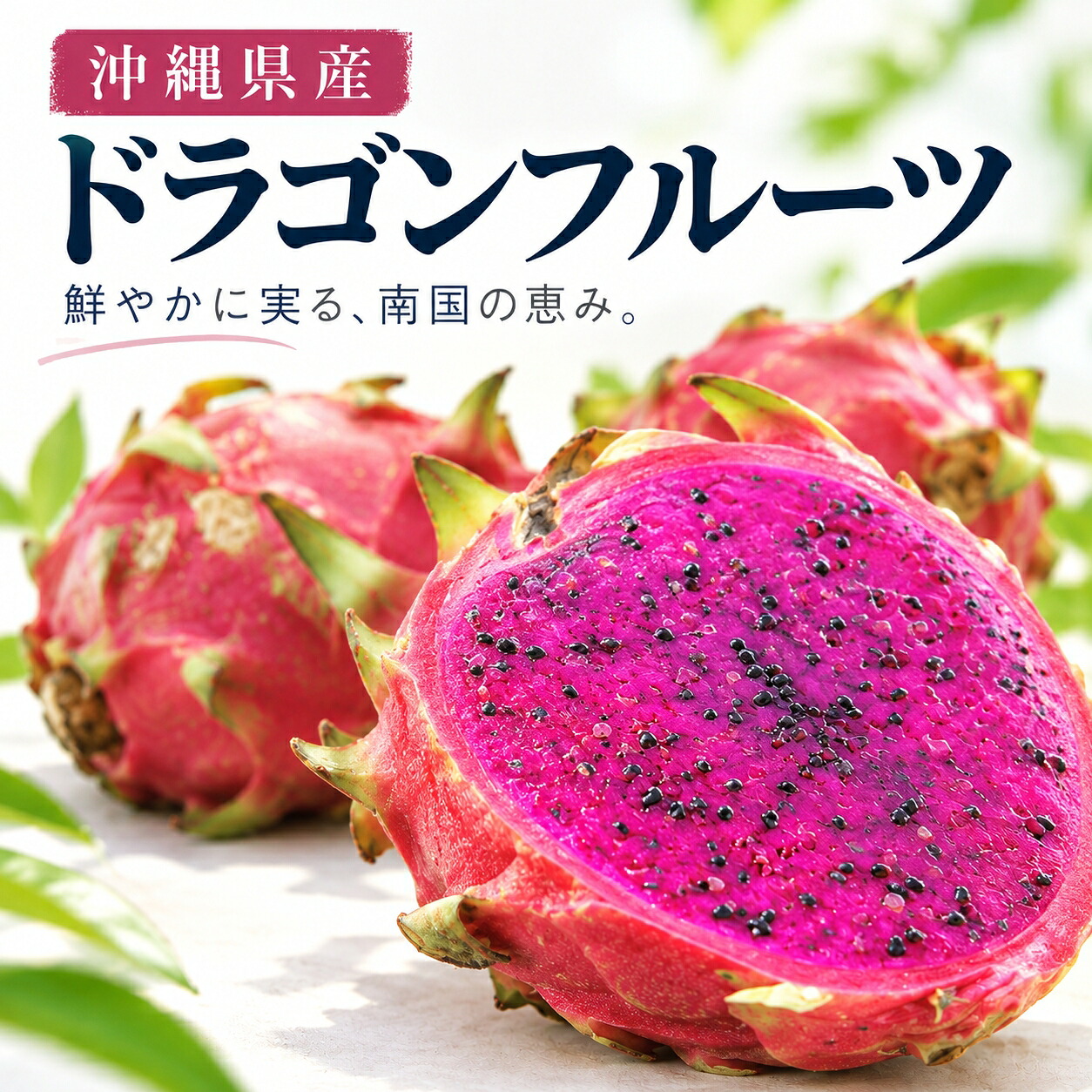 楽天市場】沖縄県産 グァバ 約1kg（赤・白おまかせ）南国フルーツの