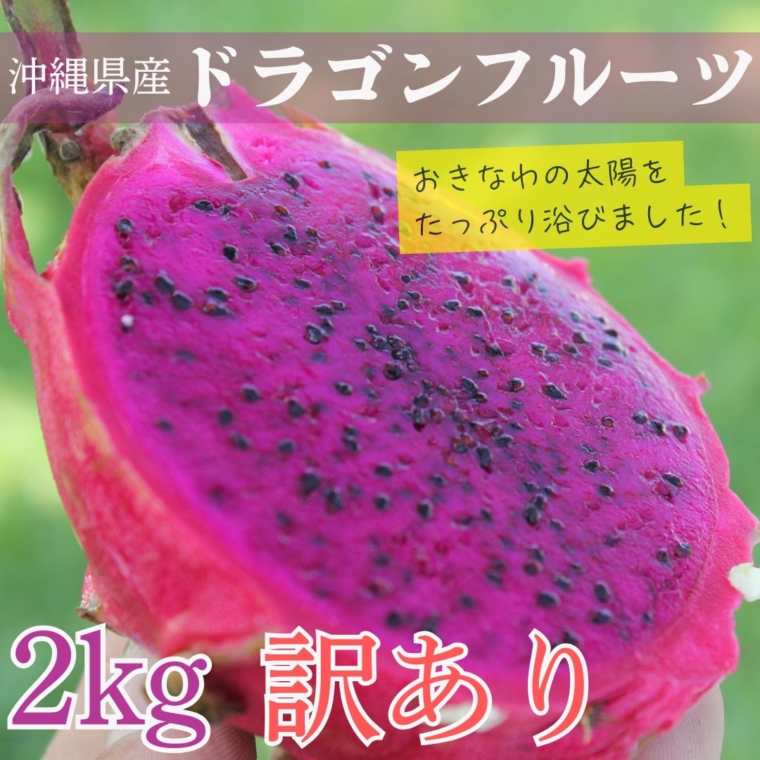 楽天市場】【送料無料】沖縄県産 グァバ 約2kg（赤・白おまかせ）南国