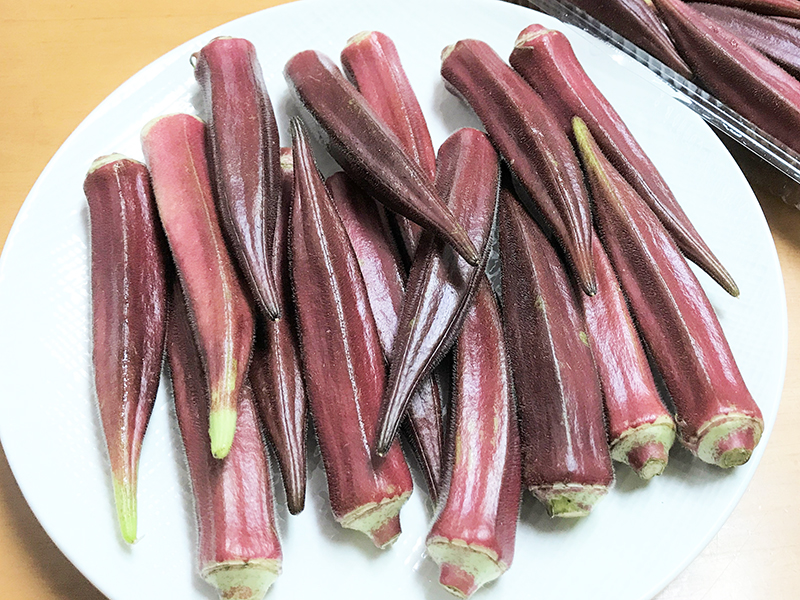 市場 沖縄県産オクラ 採れる 1kｇ 発送4〜12月 オクラ 夏野菜なのに４月から 沖縄の濃い野菜 色はお任せ 野菜