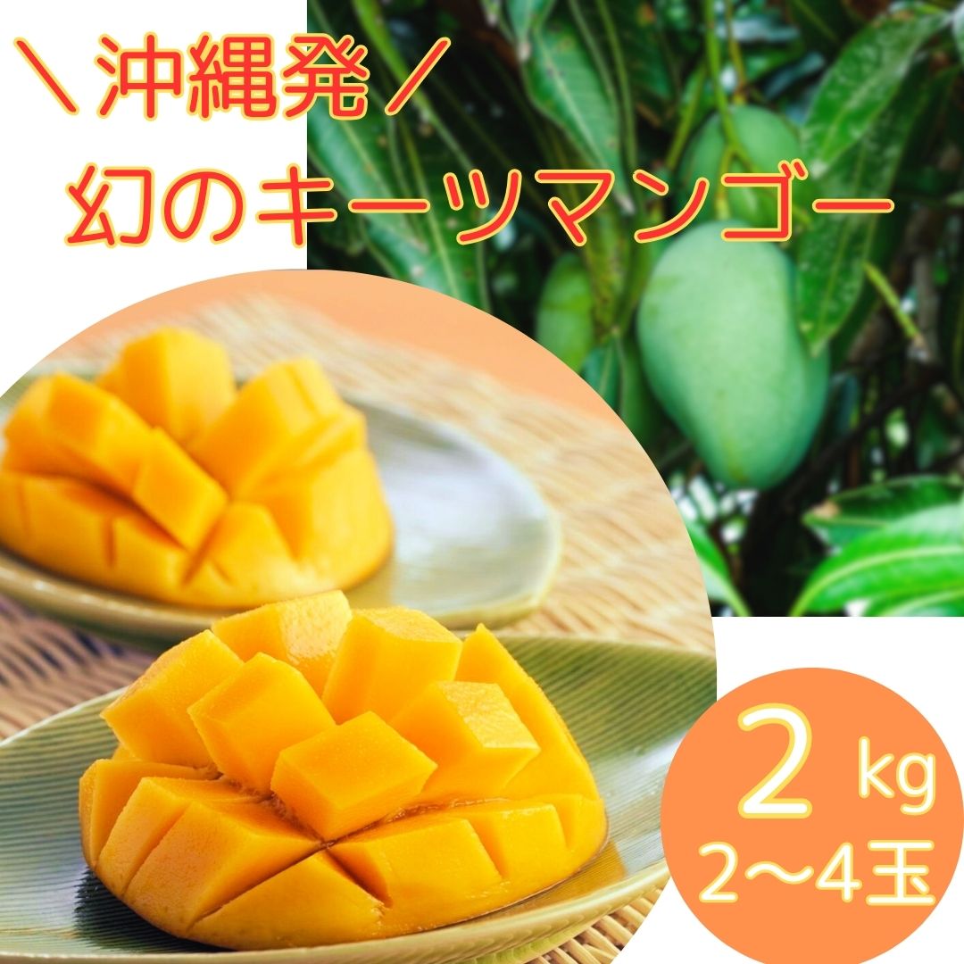 キーツマンゴー　るいさん専用 Amazon.co.jp: 沖縄県産【訳あり】キーツマンゴー(幻のマンゴー
