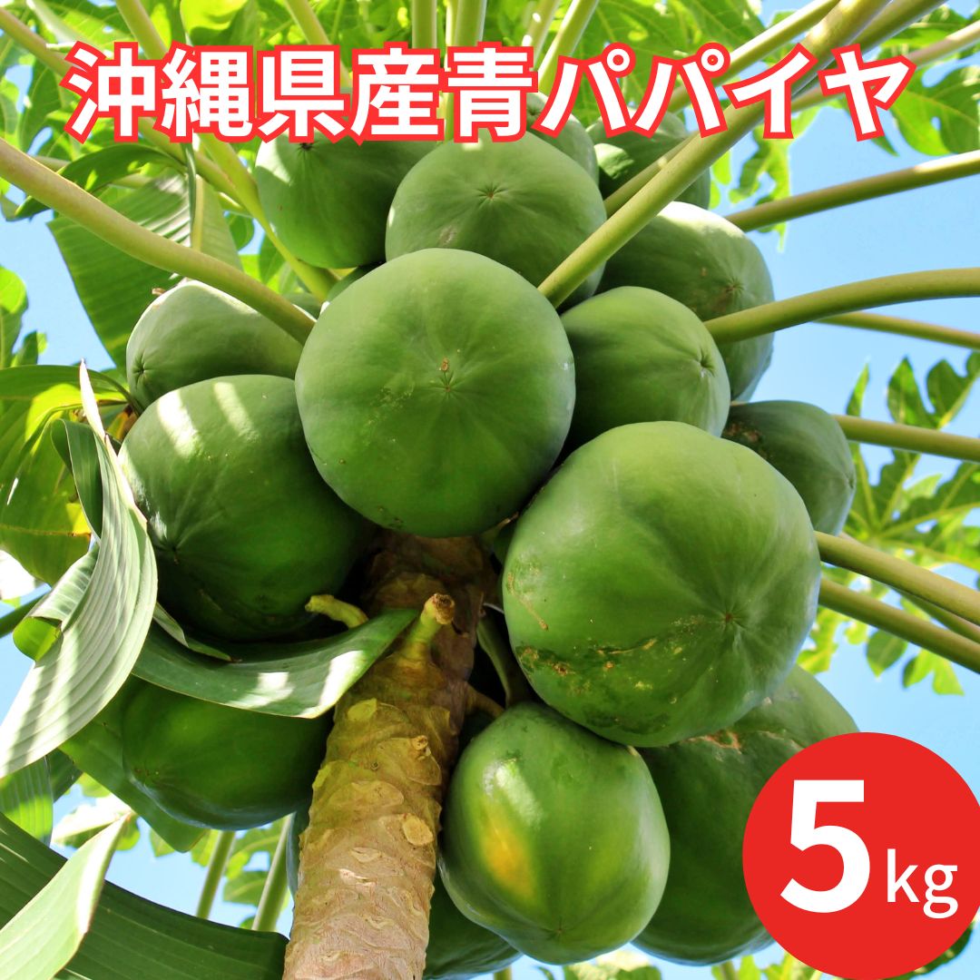 Vietnam Foods  パパイヤ 沖縄県 宮古島産 沖縄産パパイヤ 1玉(750G~1KG)・Okinawa Papaya・Đu đủ Okinawa