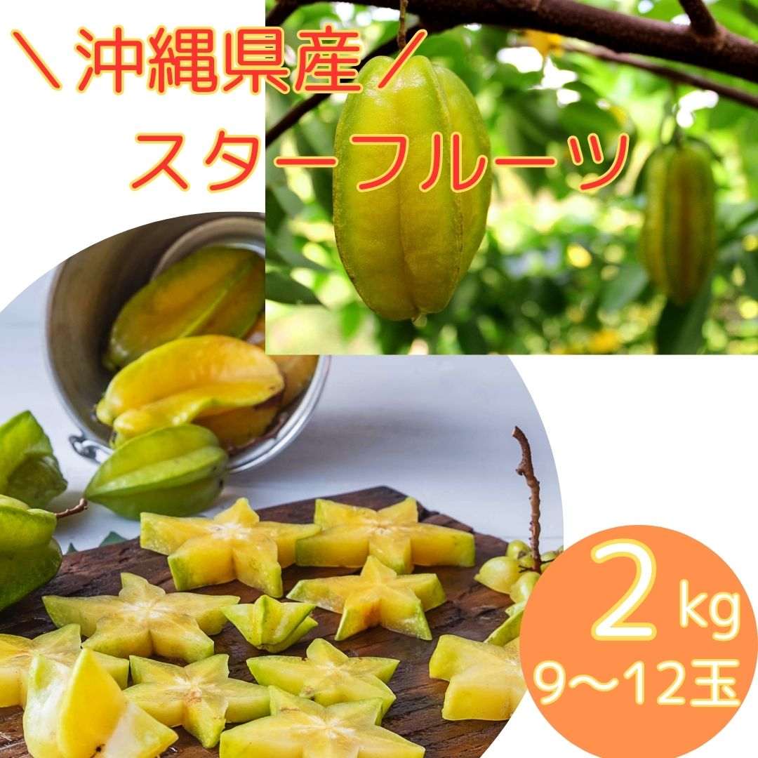 田村さん専用ページ アテモヤ 2KG（10玉入り）✕2CS セール正規店