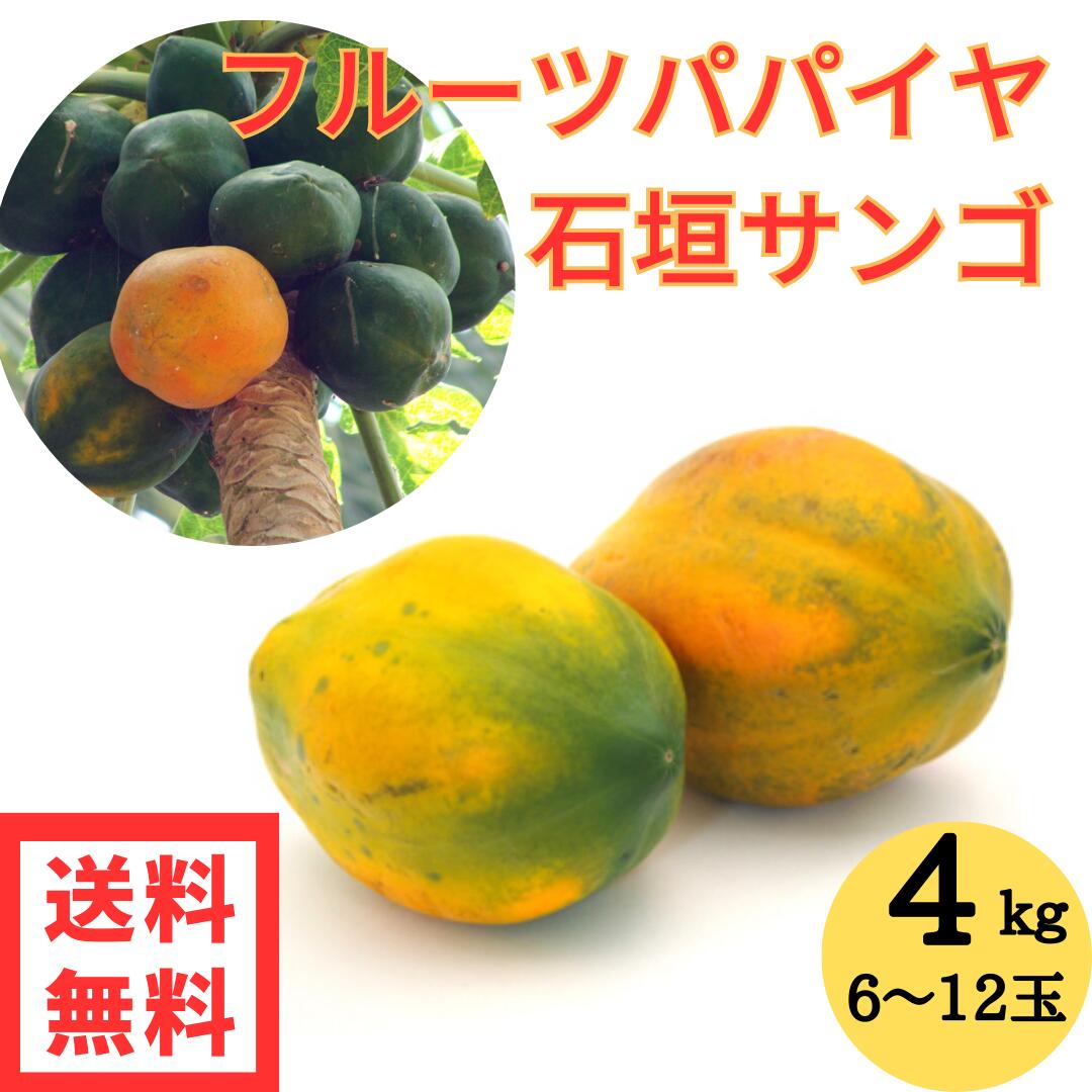 フルーツパパイヤ 石垣サンゴ 4ｋｇ （6～10玉入り） 白箱 送料無料 沖縄県産 種なし 赤パパイヤ パパイヤ 石垣フルーツパパイヤ 石垣珊瑚 トロピカルフルーツ 全国どこでも送料無料