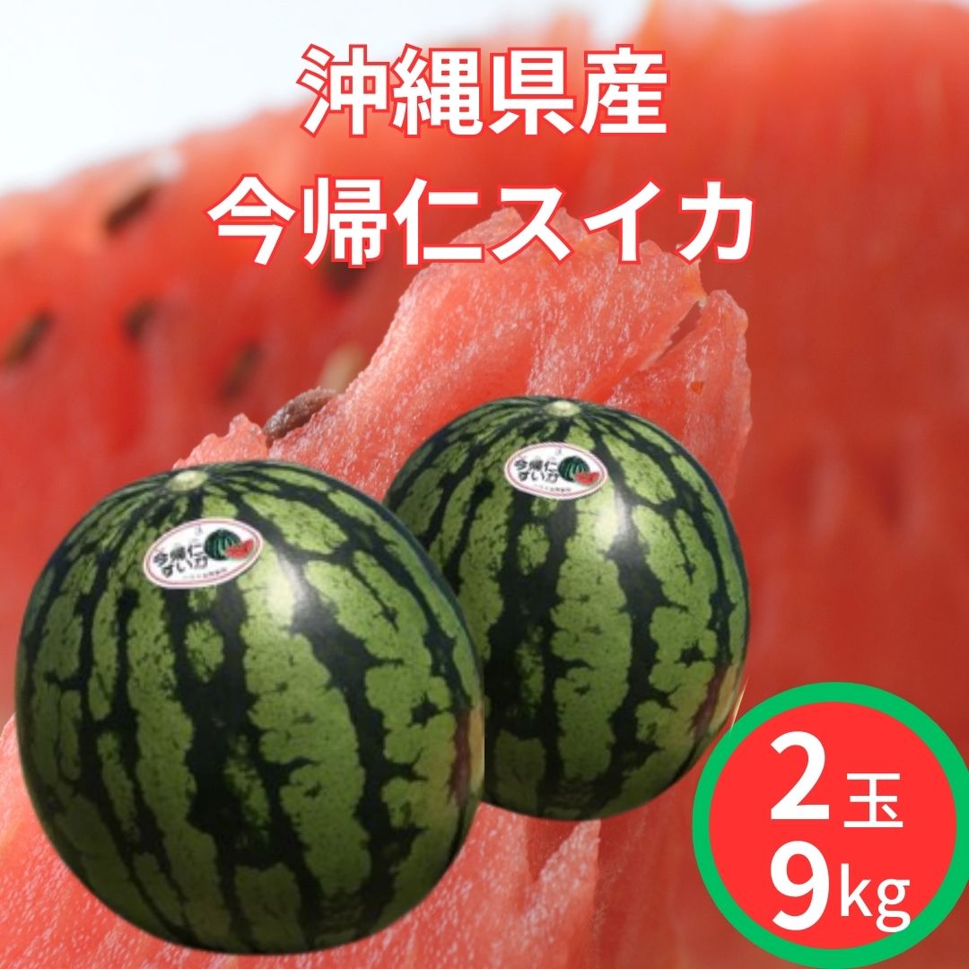 送料無料 沖縄県産 今帰仁スイカ 9kg 2玉 甘い 美味しい 沖縄 今帰仁産 すいか スイカ 大玉 2玉入り フルーツ お中元 贈り物 産地直送 常温便 沖縄すいか 沖縄スイカ